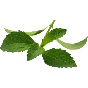 Steviol Glycosides