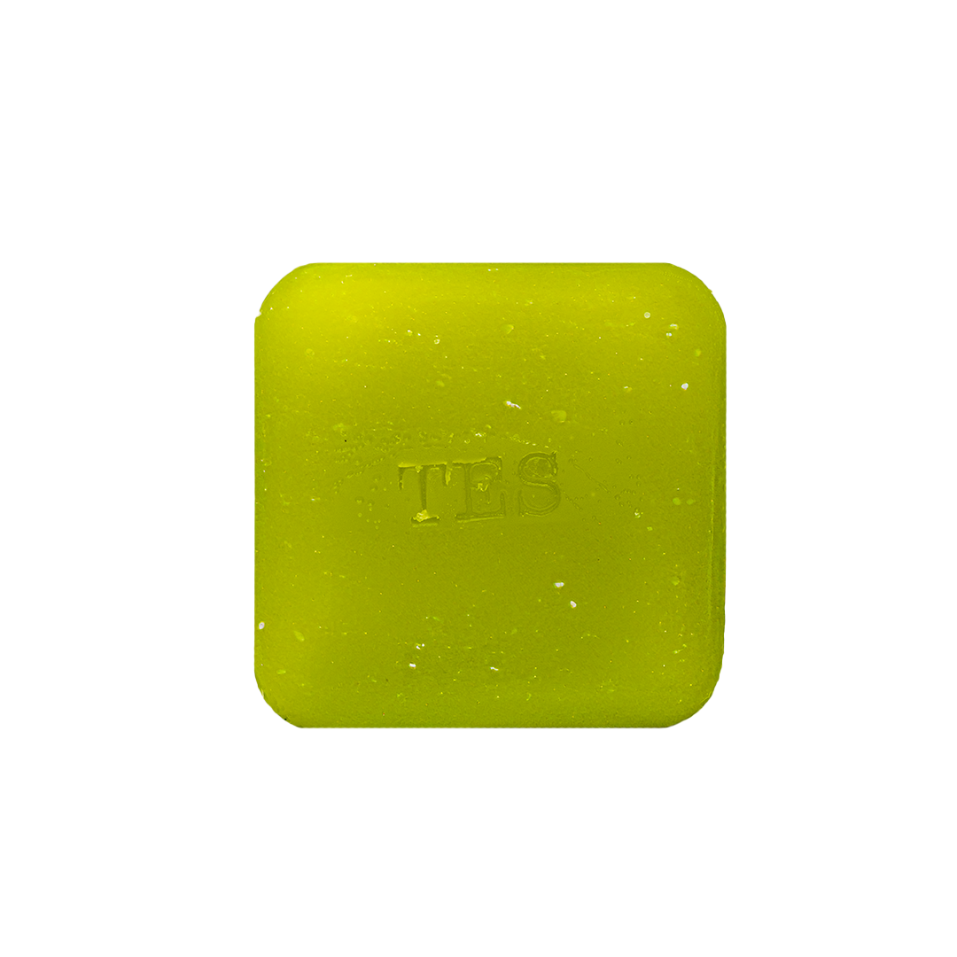 Silicone Free and CGM Friendly - Pure Bliss Conditioner Bar
