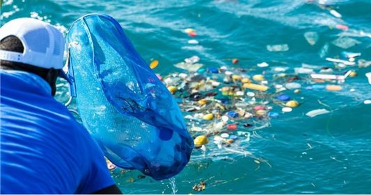 Why Saving The Ocean Requires Changing How We Consume