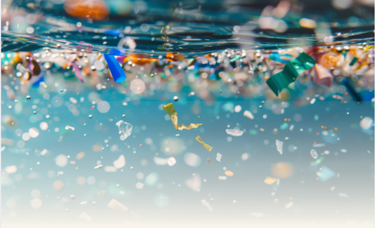 Microplastics in the Ocean: Tiny Particles, Big Consequences