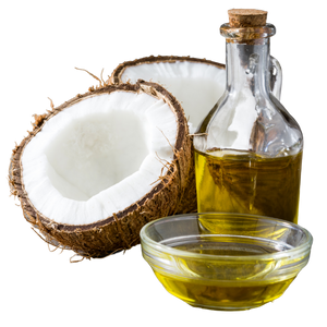 Cocos nucifera (Coconut) Oil