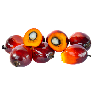 Elaeis guineensis (Palm) Oil (Skin and Hair)