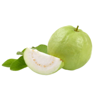 Psidium guajava (Guava) Extract (Skin and Hair)