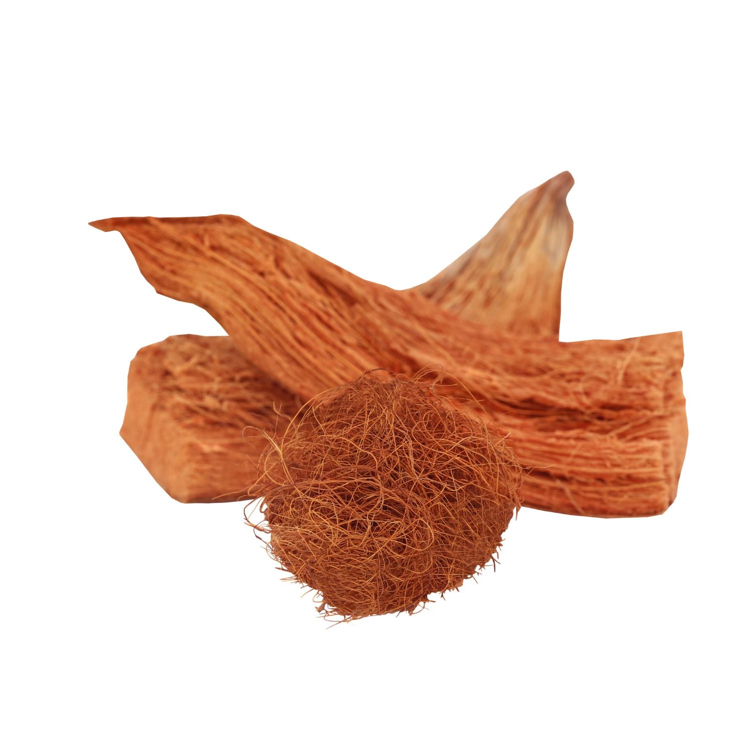 Gugo Roots Entada Phaseoloides (Gugo) Bark/Seed Extract – The Eco Shift®