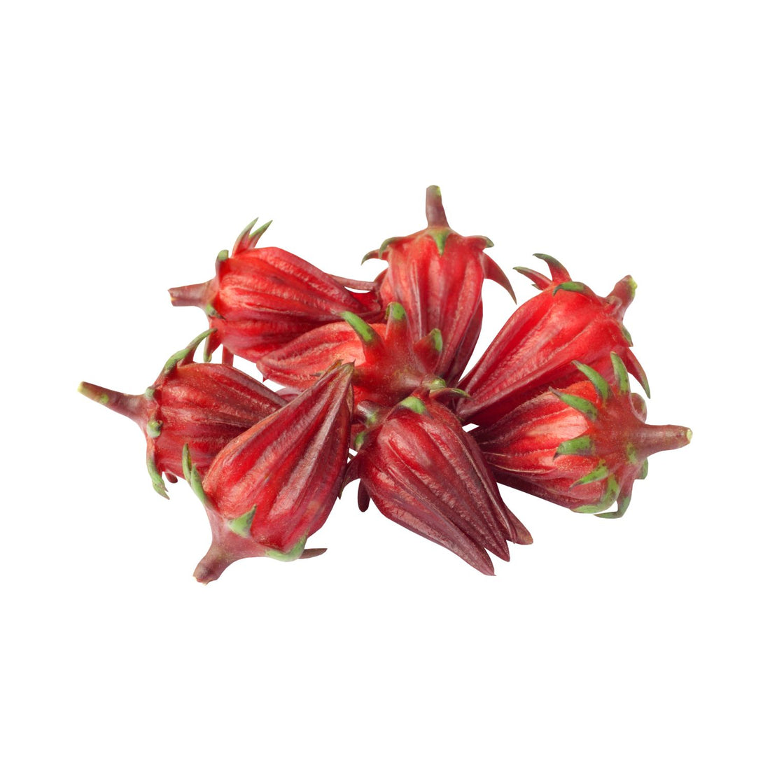 Hibiscus Sabdariffa Flower Extract