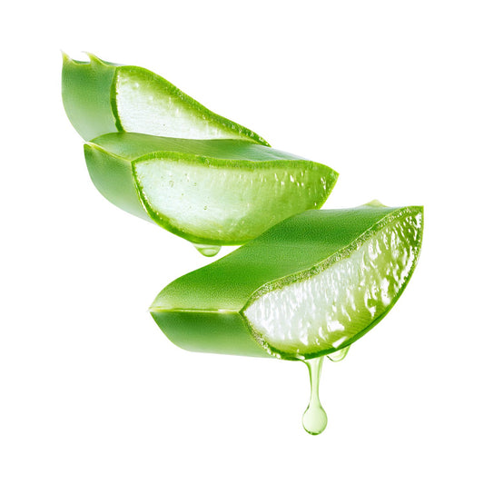 Aloe Barbadensis Leaf Juice