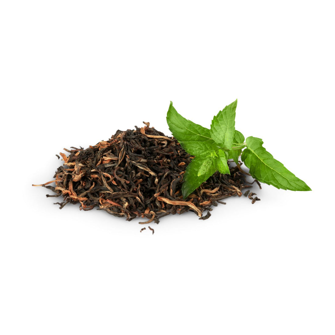 Camellia Sinensis (Green Tea) Extract