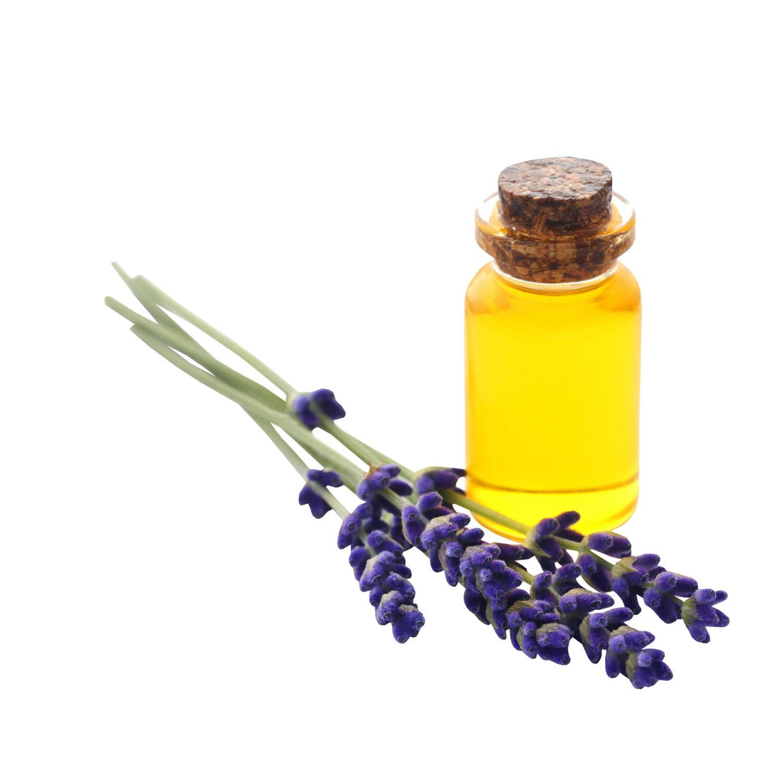 Lavandula Angustifolia (Lavender) Flower Oil