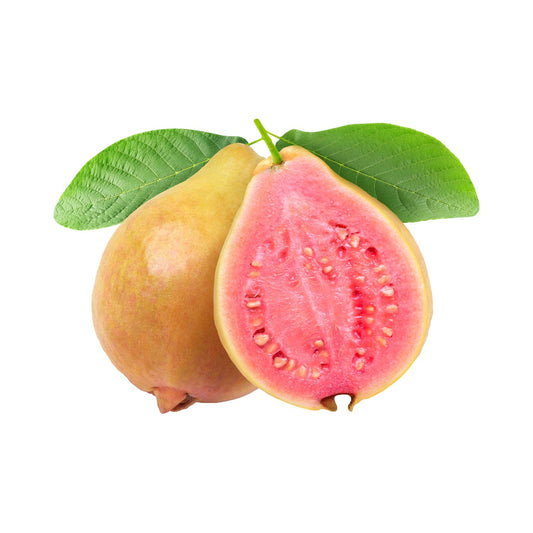 Psidium Guajava Leaf Extract