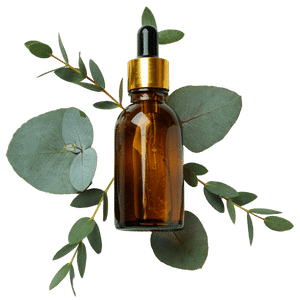 Eucalyptus Citriodora Oil (Skin and Hair)