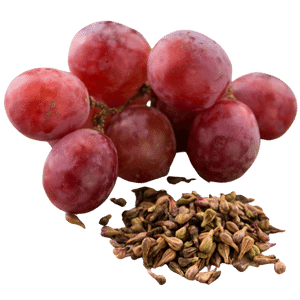 Vitis vinifera (Grape) Seed Oil (Skin and Hair)