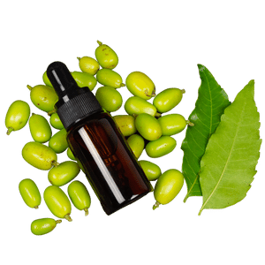 Neem Oil (Skin and Hair)