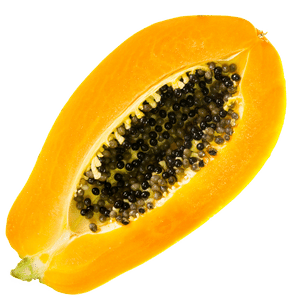 Papaya Extract (Skin and Hair)