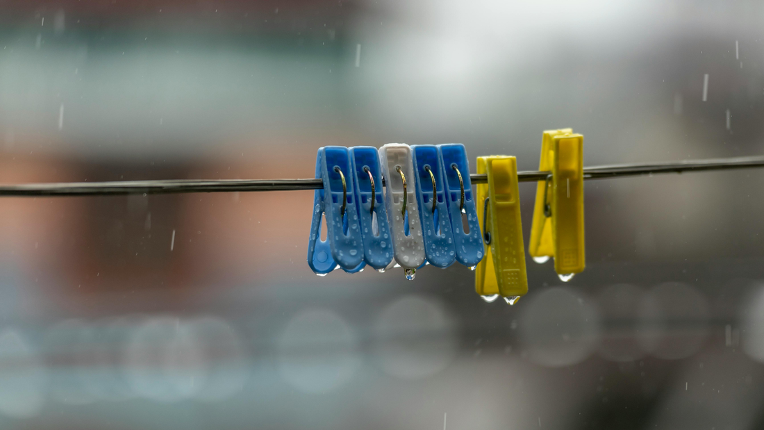 How to Defeat the Rainy-Day ‘Kulob’ Smell