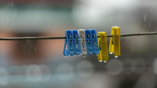How to Defeat the Rainy-Day ‘Kulob’ Smell