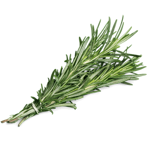 Rosemary essential Oil (Skin and Hair)