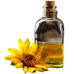 Helianthus Annuus (Sunflower) Seed Oil (Skin and Hair)