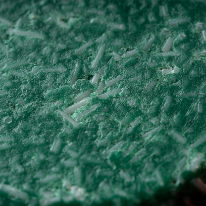 Rosemary & Mint Shampoo Bar